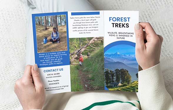 Brochure